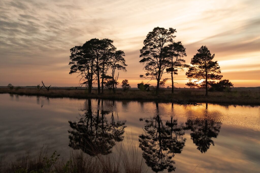 river, sunset, water-7178595.jpg